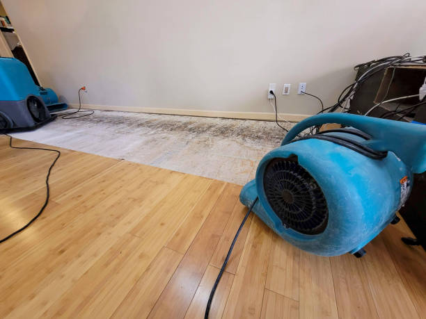 Professional Sewage Cleanup technician working in Point Lookout, NY